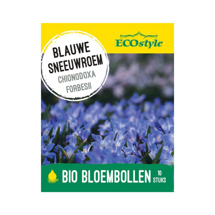 Sneeuwroem ‘Chionodoxa forbesii’ bloembollen | BIO 🌱