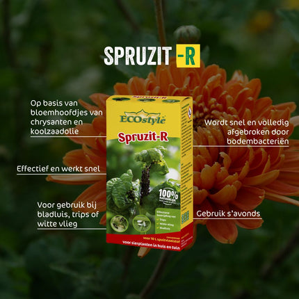 Spruzit-R concentraat