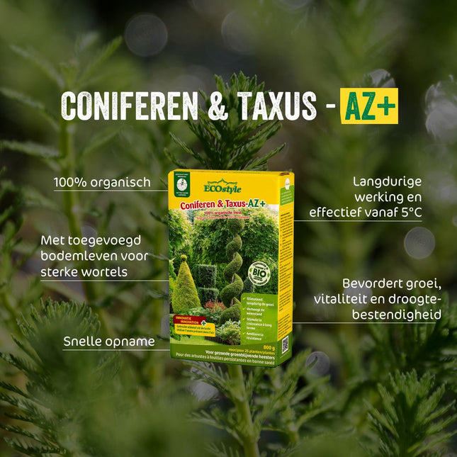 Coniferen & Taxus-AZ+