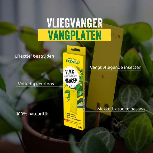 VliegVanger Vangplaten