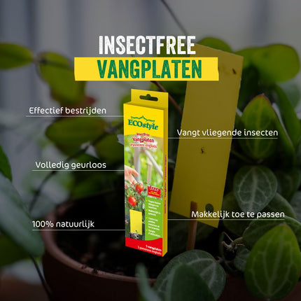 Vangplaten
