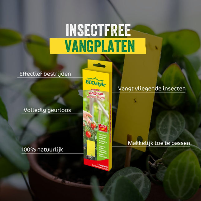 Vangplaten