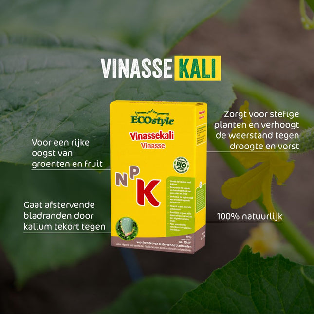 Vinassekali
