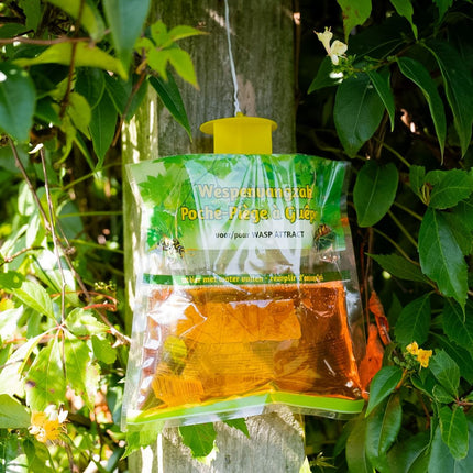 Waspfree Trap - wespenval