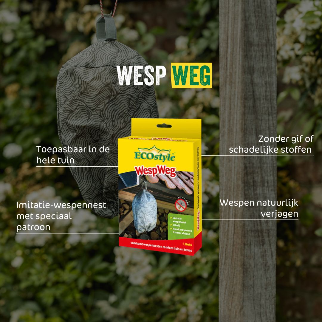 com-four® 2x wespenval - natuurlijke wespenval voor buiten - wespen afweren - middel tegen wespen - wespenafstotend voor opzetten en ophangen - 360 graden effect (02 stuks - groen 13cm com-four® 2x wespenval - natuurlijke wespenval voor buiten - wespen afweren - middel tegen wespen - wespenafstotend voor opzetten en ophangen - 360 graden effect (02 stuks - groen 13cm